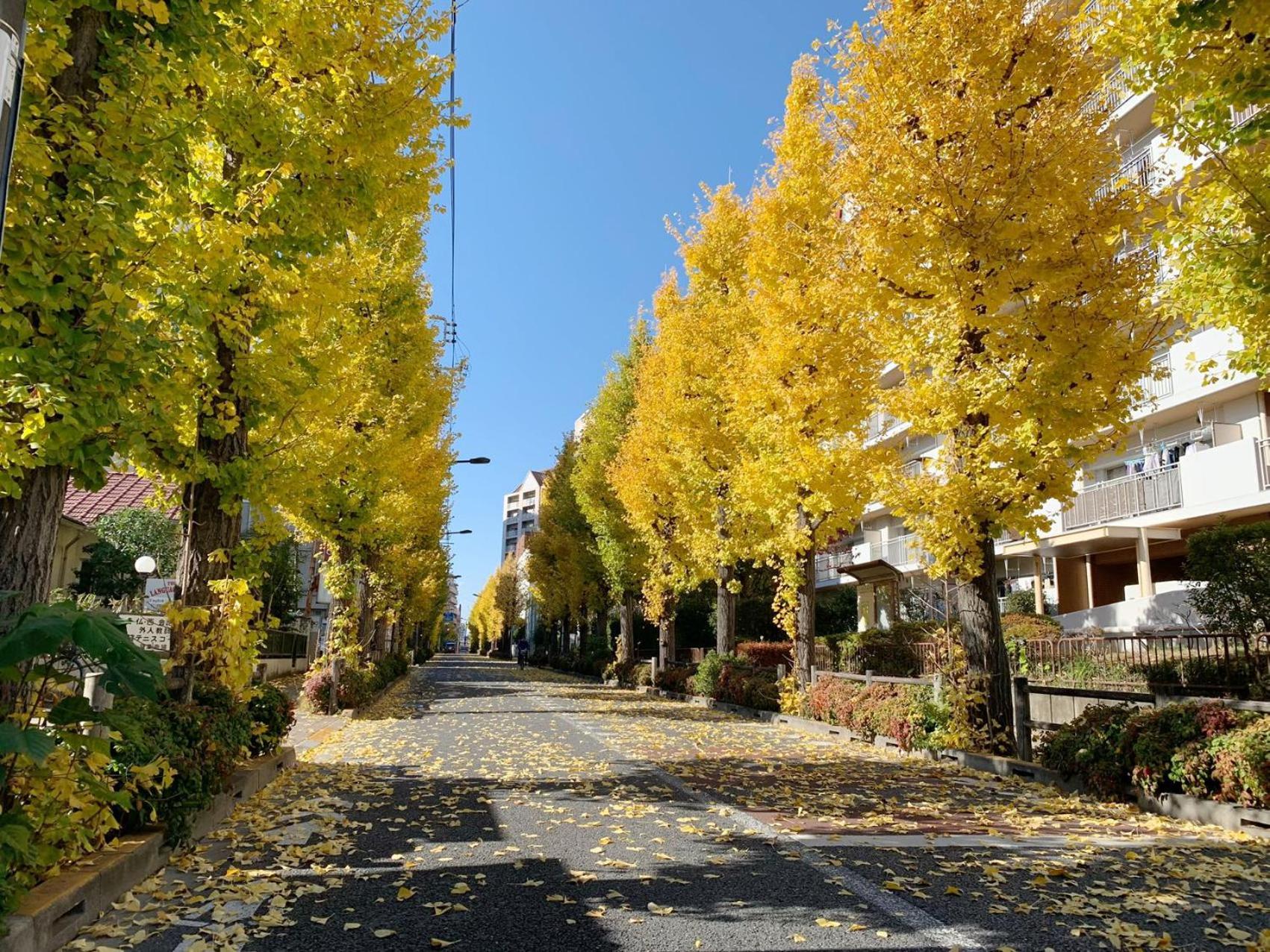 Rosenheim Tokyo Shinjuku Tokio Zewnętrze zdjęcie